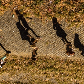 people on sidewalk from above